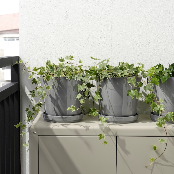 IKEA CITRUSFRUKT plant pot with saucer, indoor/outdoor gray, 7 ½ in, Ikea Ireland | 6507YGLEZ