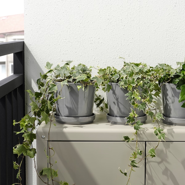 IKEA CITRUSFRUKT plant pot with saucer, indoor/outdoor gray, 6 in, Ikea Ireland | 9705UIXZM