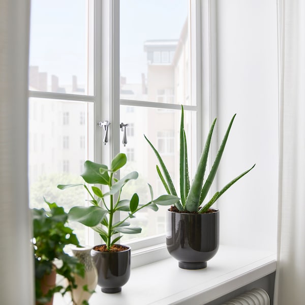 IKEA DRÖMSK plant pot, indoor/outdoor, 6 in Anthracite, Ikea Ireland | 5317RDJVZ