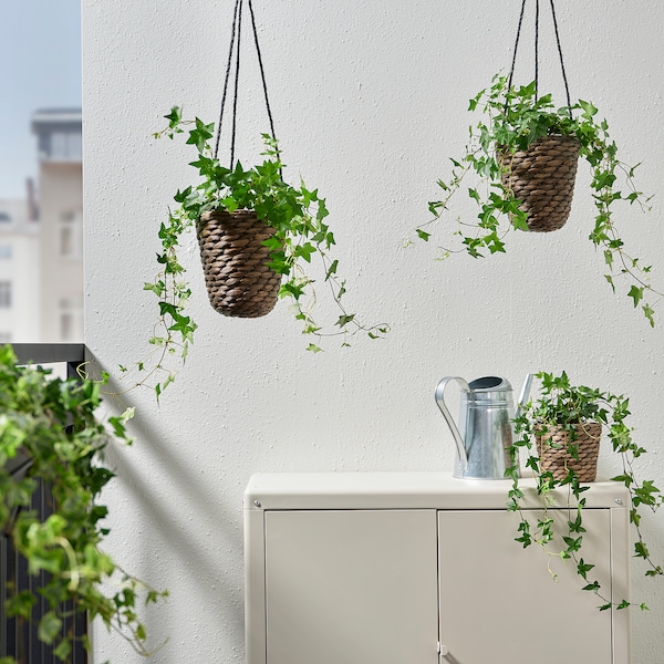 IKEA DRUVFLÄDER hanging planter, water hyacinth/gray, 5 ½ in, Ikea Ireland | 3219LEWPQ