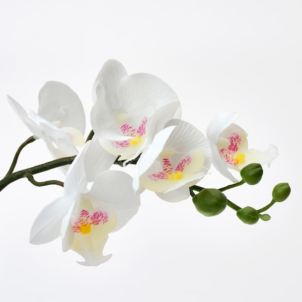 IKEA FEJKA artificial potted plant, 3 ½ in Orchid White, Ikea Ireland | 9364XYSZH