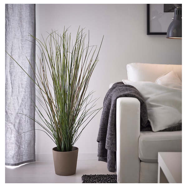 IKEA FEJKA artificial potted plant, grass, 6 ¾ in, Ikea Ireland | 6314QVPBD