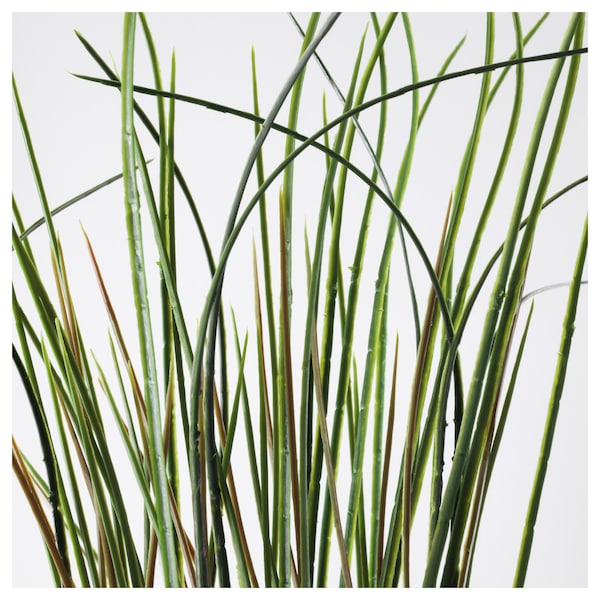 IKEA FEJKA artificial potted plant, grass, 6 ¾ in, Ikea Ireland | 6314QVPBD