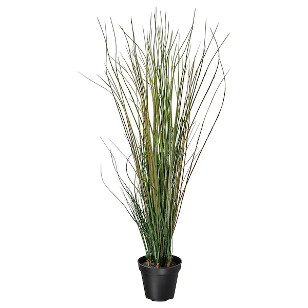 IKEA FEJKA artificial potted plant, grass, 6 ¾ in, Ikea Ireland | 6314QVPBD