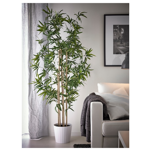 IKEA FEJKA artificial potted plant, indoor/outdoor, 9 in Bamboo, Ikea Ireland | 4591PYTBG