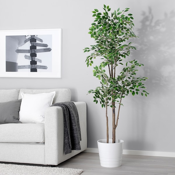 IKEA FEJKA artificial potted plant, indoor/outdoor Weeping fig, 8 ¼ in, Ikea Ireland | 2079HCJWP