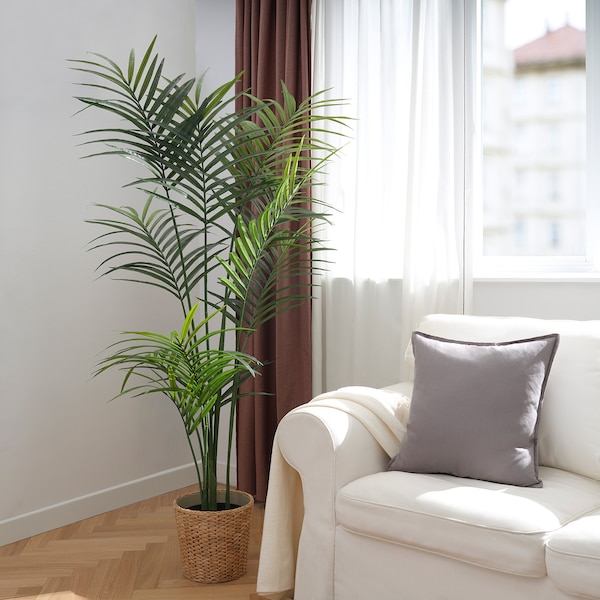 IKEA FEJKA artificial potted plant, indoor/outdoor, 9 in Kentia Palm, Ikea Ireland | 6943JOWRH