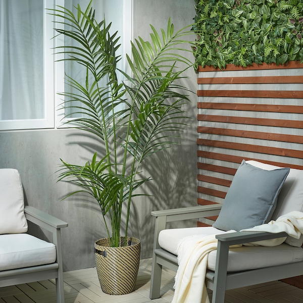 IKEA FEJKA artificial potted plant, indoor/outdoor, 9 in Kentia Palm, Ikea Ireland | 6943JOWRH