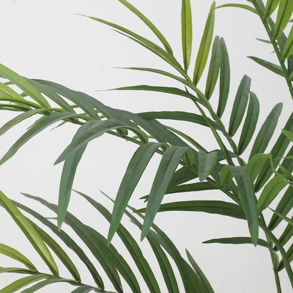 IKEA FEJKA artificial potted plant, indoor/outdoor, 9 in Kentia Palm, Ikea Ireland | 6943JOWRH