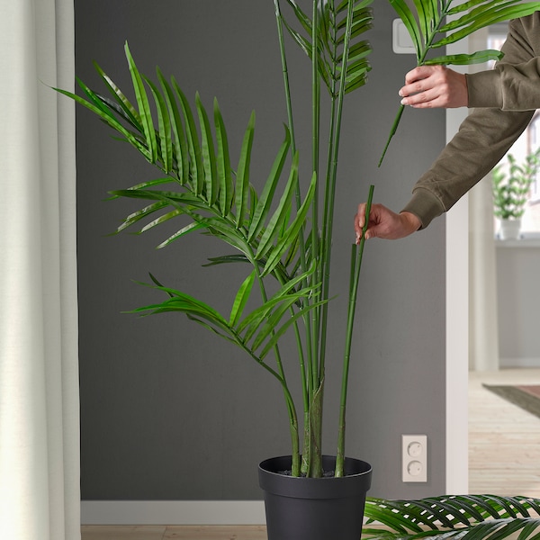 IKEA FEJKA artificial potted plant, indoor/outdoor, 9 in Kentia Palm, Ikea Ireland | 6943JOWRH