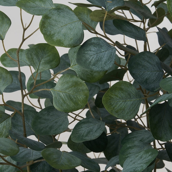 IKEA FEJKA artificial potted plant, indoor/outdoor, 7 ½ in Eucalyptus, Ikea Ireland | 3461GILNY