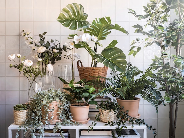 IKEA FEJKA artificial potted plant, indoor/outdoor, 7 ½ in Monstera, Ikea Ireland | 0715MZUPX