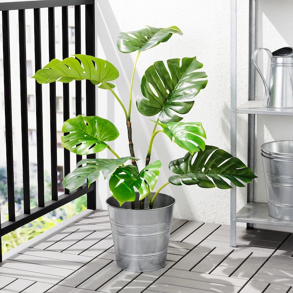 IKEA FEJKA artificial potted plant, indoor/outdoor, 7 ½ in Monstera, Ikea Ireland | 0715MZUPX