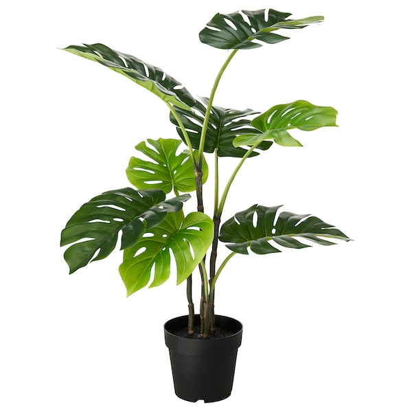 IKEA FEJKA artificial potted plant, indoor/outdoor, 7 ½ in Monstera, Ikea Ireland | 0715MZUPX