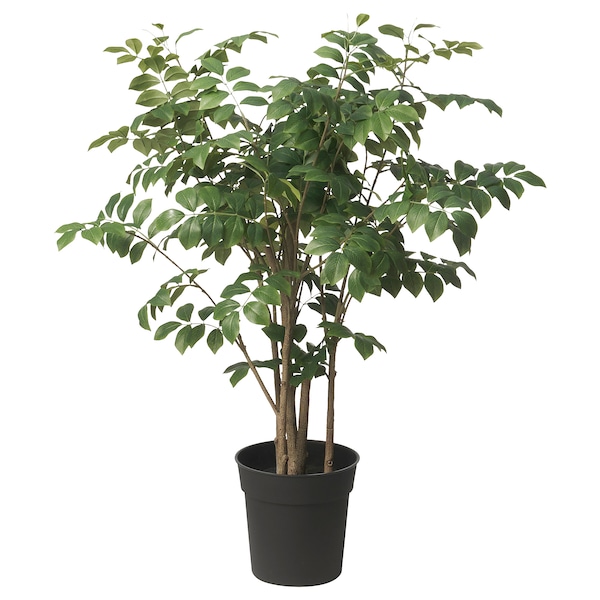 IKEA FEJKA artificial potted plant, indoor/outdoor, 7 ½ in Red Sandalwood, Ikea Ireland | 5847QBTND