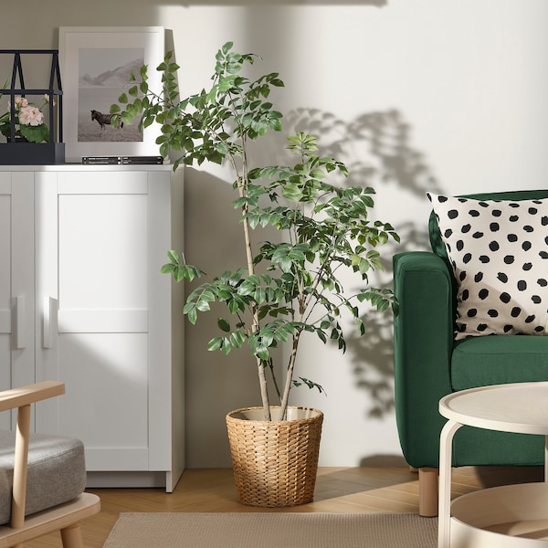 IKEA FEJKA artificial potted plant, indoor/outdoor, 7 ½ in Red Sandalwood, Ikea Ireland | 5847QBTND