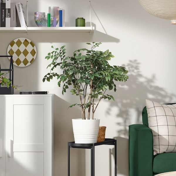 IKEA FEJKA artificial potted plant, indoor/outdoor, 7 ½ in Red Sandalwood, Ikea Ireland | 5847QBTND