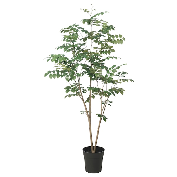 IKEA FEJKA artificial potted plant, indoor/outdoor, 7 ½ in Red Sandalwood, Ikea Ireland | 5847QBTND