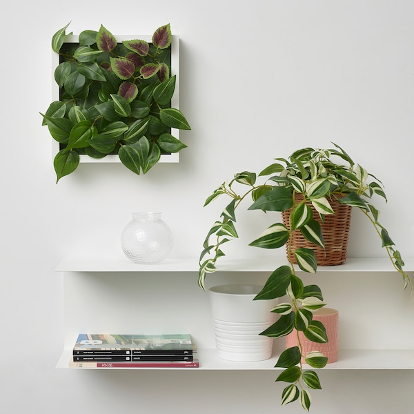 IKEA FEJKA artificial potted plant, indoor/outdoor, 4 ¾ in Tradescantia Zebrina, Ikea Ireland | 6739HGARB