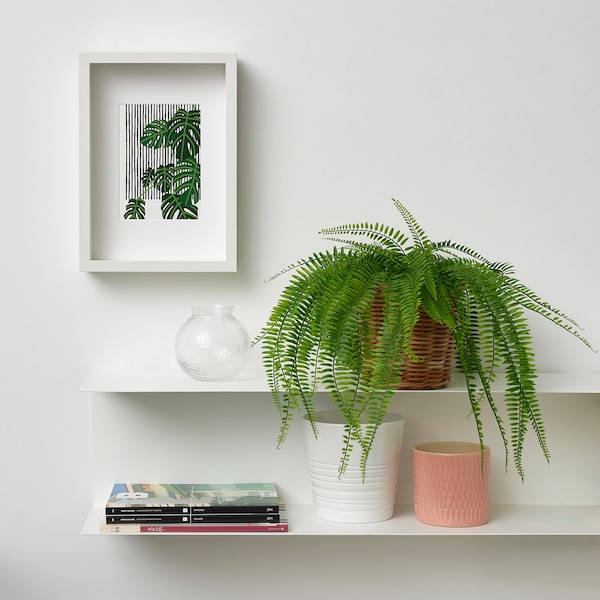 IKEA FEJKA artificial potted plant, indoor/outdoor, 4 ¾ in Hanging / Fern, Ikea Ireland | 7834VQKTU