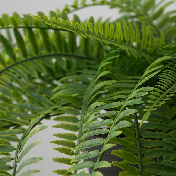 IKEA FEJKA artificial potted plant, indoor/outdoor, 4 ¾ in Hanging / Fern, Ikea Ireland | 7834VQKTU
