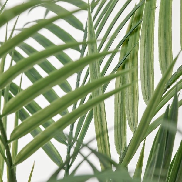 IKEA FEJKA artificial potted plant, indoor/outdoor, 4 ¾ in Areca Palm, Ikea Ireland | 6932SPOXD