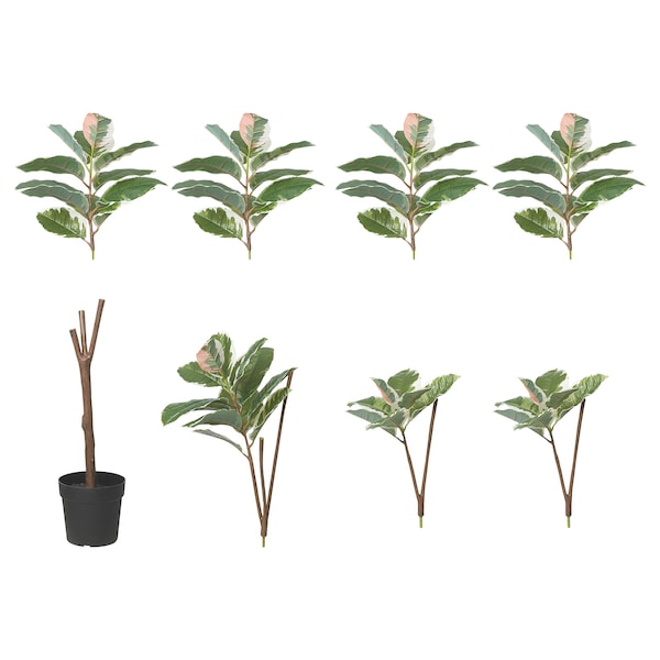 IKEA FEJKA artificial potted plant, indoor/outdoor , 9 in Rubber Plant, Ikea Ireland | 9568DAYEV