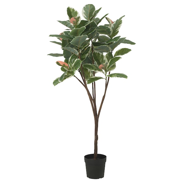 IKEA FEJKA artificial potted plant, indoor/outdoor , 9 in Rubber Plant, Ikea Ireland | 9568DAYEV