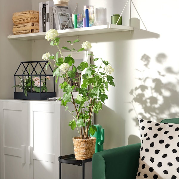 IKEA FEJKA artificial potted plant, indoor/outdoor, 6 in Snowball, Ikea Ireland | 2718NVZRY