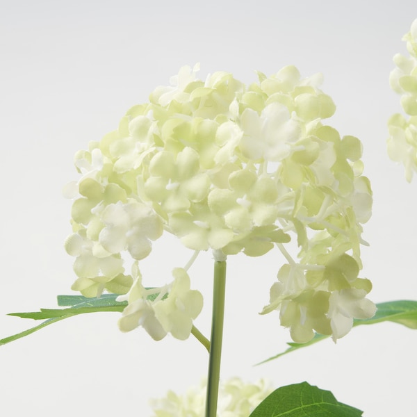 IKEA FEJKA artificial potted plant, indoor/outdoor, 6 in Snowball, Ikea Ireland | 2718NVZRY