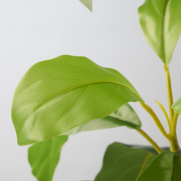 IKEA FEJKA artificial potted plant, indoor/outdoor, 6 in Avocado, Ikea Ireland | 4058HMEUJ