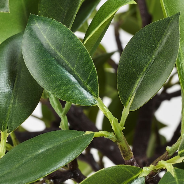 IKEA FEJKA artificial potted plant, indoor/outdoor, 4 ¾ in Weeping Fig Stem, Ikea Ireland | 9312OTHFW