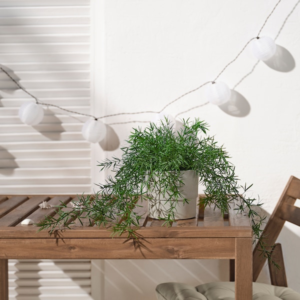 IKEA FEJKA artificial potted plant, indoor/outdoor, 4 ¾ in Asparagus / Hanging, Ikea Ireland | 9135KZSJO