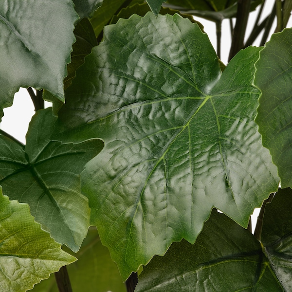IKEA FEJKA artificial potted plant, indoor/outdoor, 6 in Crimson Glory Vine, Ikea Ireland | 0167YJWST