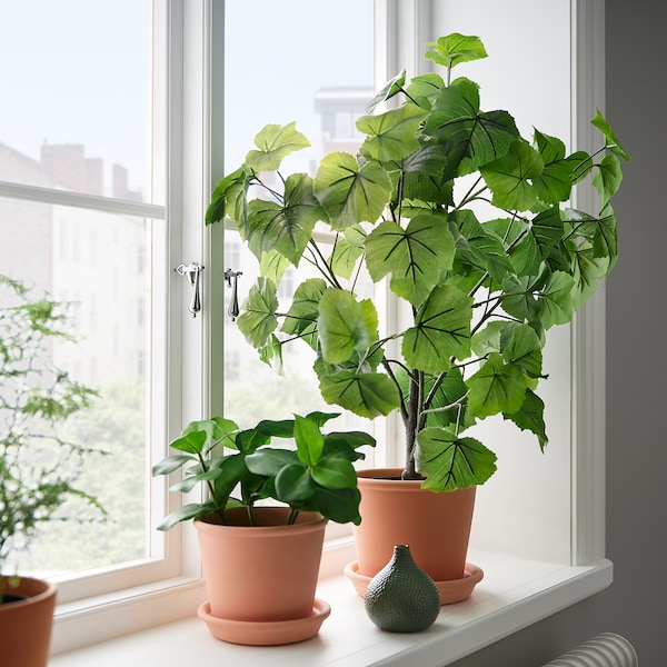 IKEA FEJKA artificial potted plant, indoor/outdoor, 6 in Crimson Glory Vine, Ikea Ireland | 0167YJWST