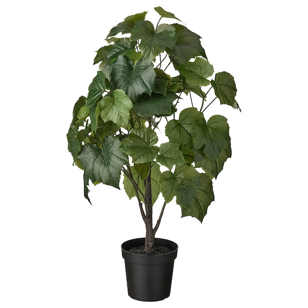 IKEA FEJKA artificial potted plant, indoor/outdoor, 6 in Crimson Glory Vine, Ikea Ireland | 0167YJWST