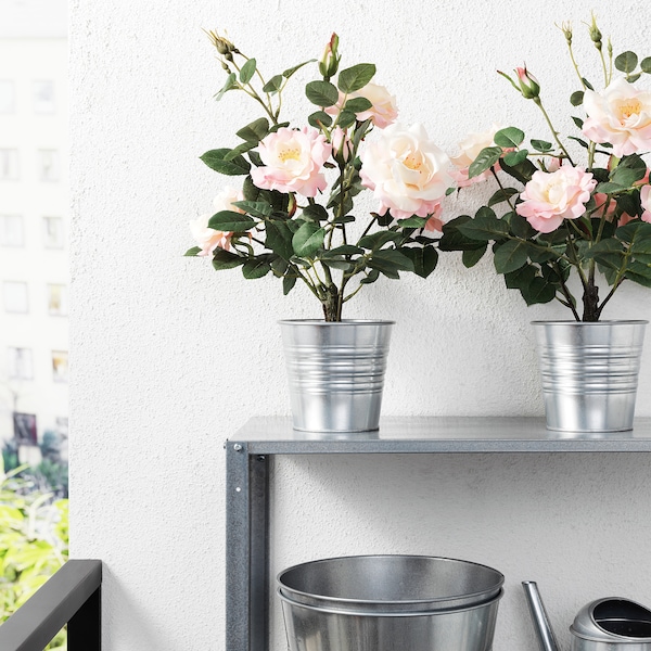 IKEA FEJKA artificial potted plant, indoor/outdoor, 4 ¾ in Rose Pink, Ikea Ireland | 1982ILAMG