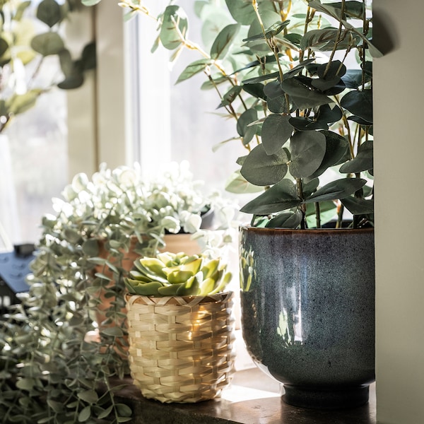 IKEA FEJKA artificial potted plant, indoor/outdoor, 6 in Eucalyptus, Ikea Ireland | 1589ZJMBC