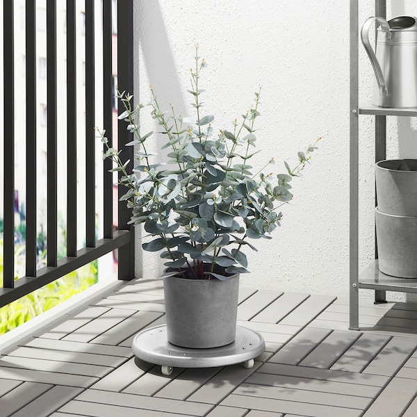 IKEA FEJKA artificial potted plant, indoor/outdoor, 6 in Eucalyptus, Ikea Ireland | 1589ZJMBC