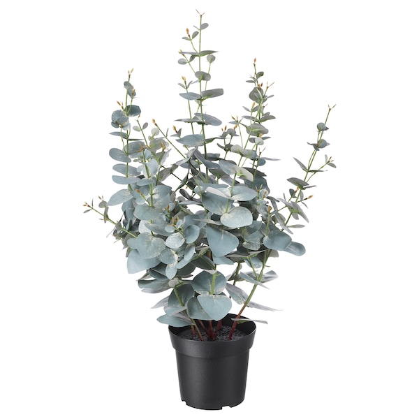 IKEA FEJKA artificial potted plant, indoor/outdoor, 6 in Eucalyptus, Ikea Ireland | 1589ZJMBC