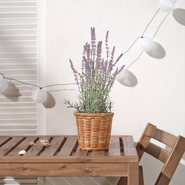 IKEA FEJKA artificial potted plant, indoor/outdoor, 4 ¾ in Lavender Lilac, Ikea Ireland | 7689THEVW