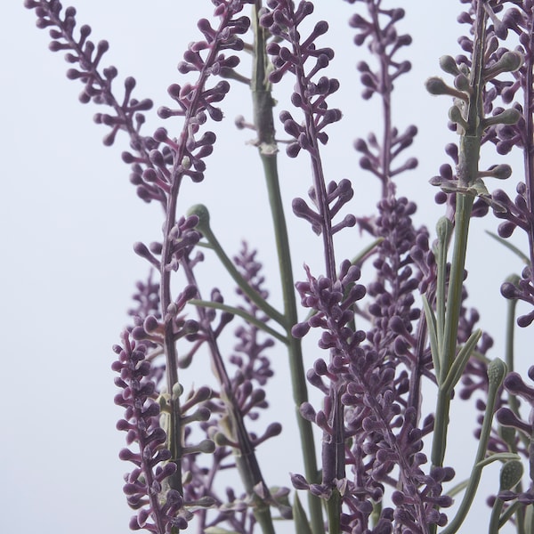 IKEA FEJKA artificial potted plant, indoor/outdoor, 4 ¾ in Lavender Lilac, Ikea Ireland | 7689THEVW