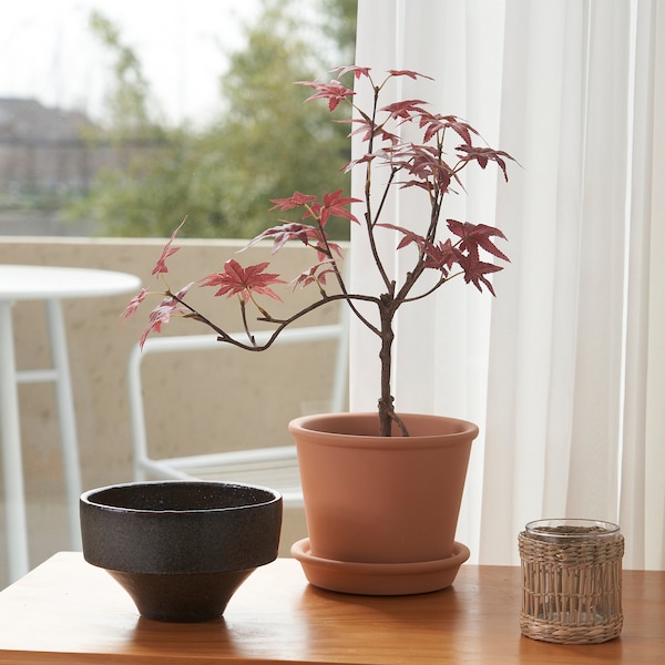 IKEA FEJKA artificial potted plant, indoor/outdoor, 4 ¾ in Maple, Ikea Ireland | 1857CFURL