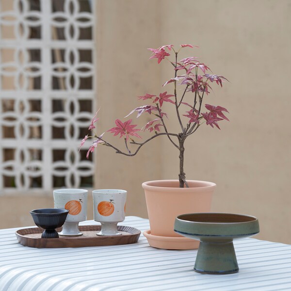 IKEA FEJKA artificial potted plant, indoor/outdoor, 4 ¾ in Maple, Ikea Ireland | 1857CFURL