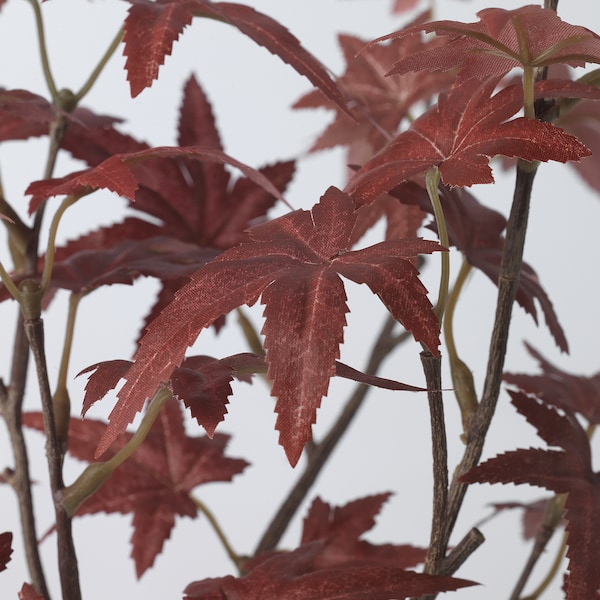 IKEA FEJKA artificial potted plant, indoor/outdoor, 4 ¾ in Maple, Ikea Ireland | 1857CFURL