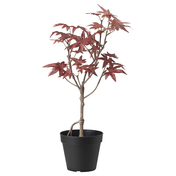 IKEA FEJKA artificial potted plant, indoor/outdoor, 4 ¾ in Maple, Ikea Ireland | 1857CFURL
