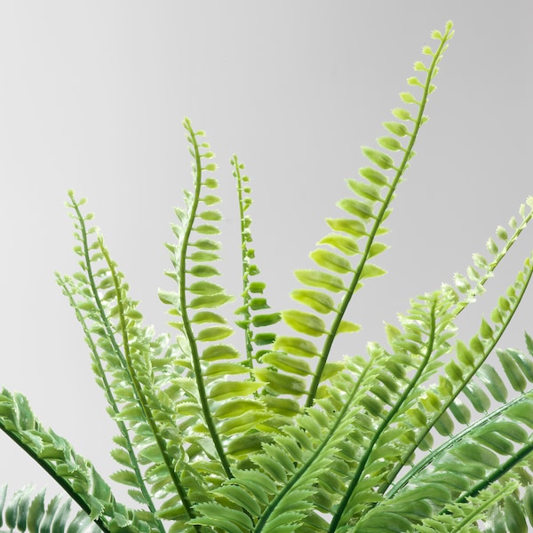 IKEA FEJKA artificial potted plant, indoor/outdoor, 3 ½ in Fern, Ikea Ireland | 3207WINXD