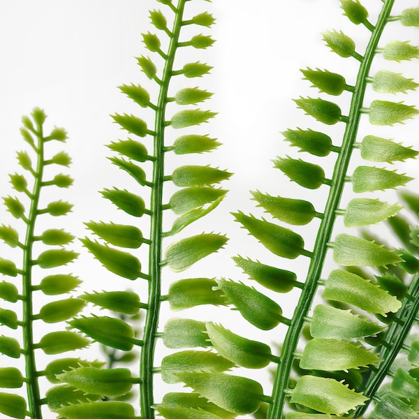 IKEA FEJKA artificial potted plant, indoor/outdoor, 3 ½ in Fern, Ikea Ireland | 3207WINXD