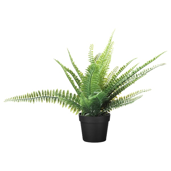IKEA FEJKA artificial potted plant, indoor/outdoor, 3 ½ in Fern, Ikea Ireland | 3207WINXD