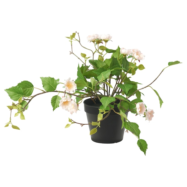 IKEA FEJKA artificial potted plant, indoor/outdoor/, 4 ¾ in Rose Light Pink, Ikea Ireland | 7236DVZGU
